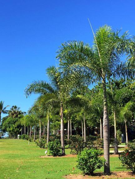 Dunk Island View Caravan Park Wongaling Beach ภายนอก รูปภาพ