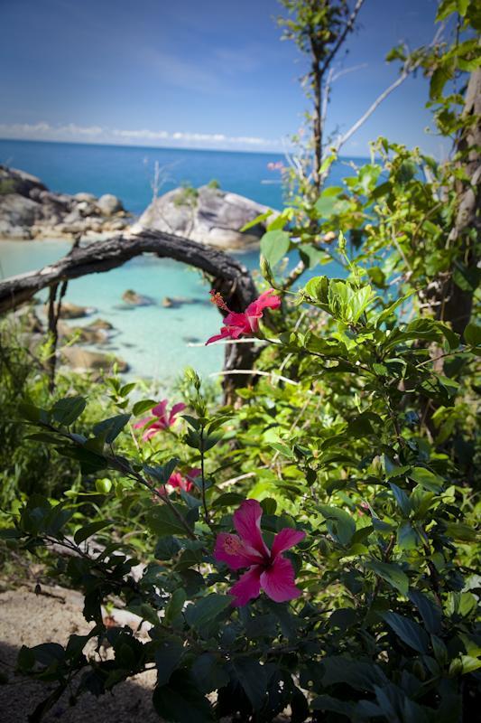 Dunk Island View Caravan Park Wongaling Beach ภายนอก รูปภาพ