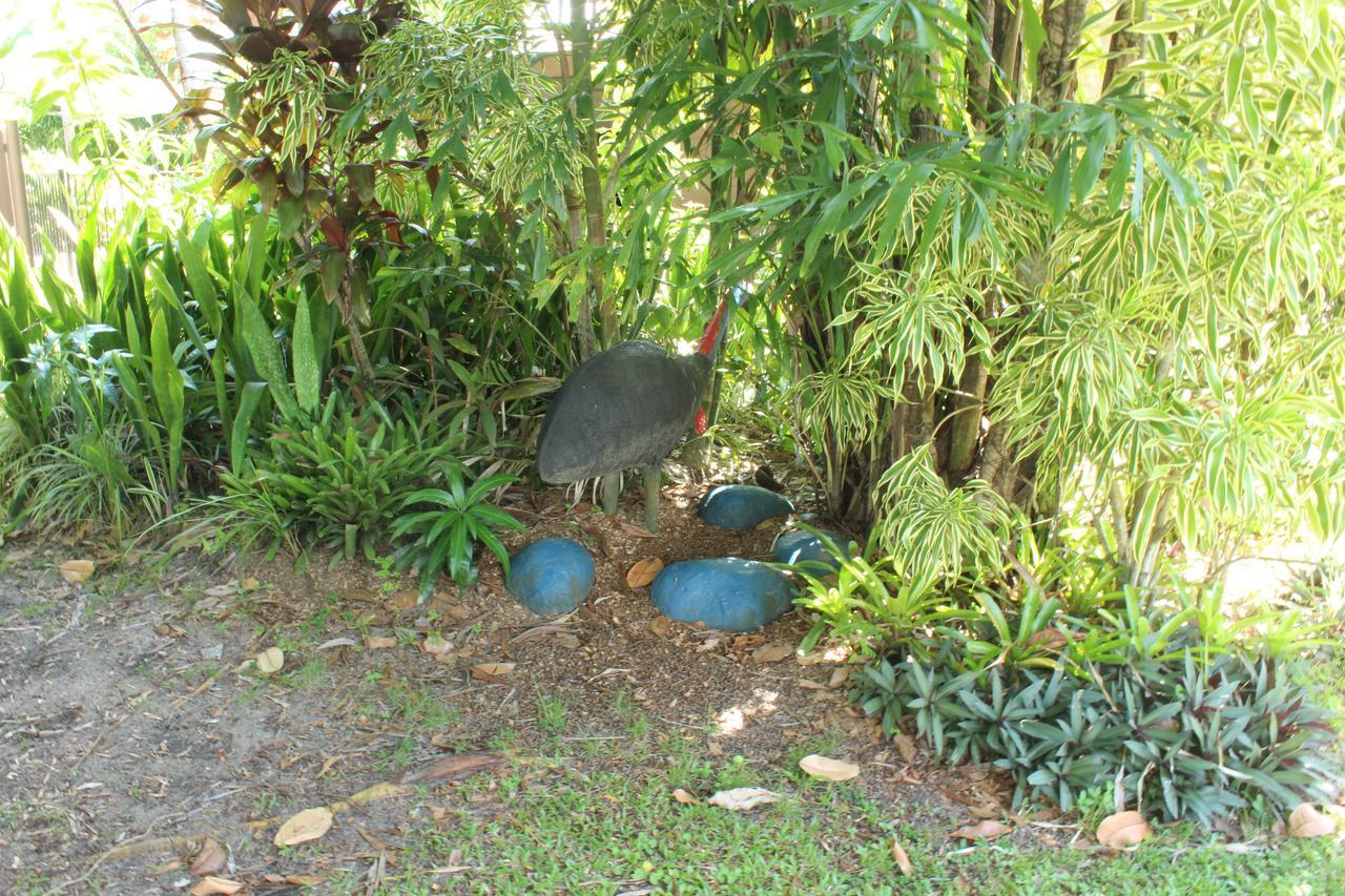 Dunk Island View Caravan Park Wongaling Beach ภายนอก รูปภาพ